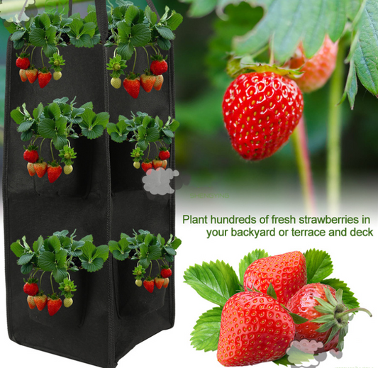 Strawberry Planting Bag